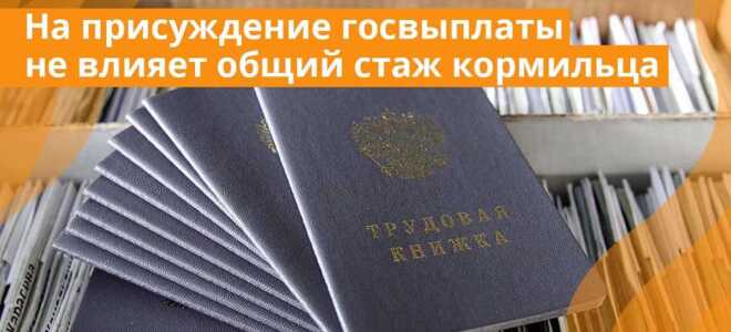 Пенсия по потере кормильца в 2021 году: размер, кому положена, как оформить