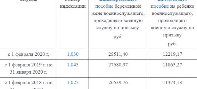 Выплаты матерям-одиночкам в 2021: какие пособия положены и как их получить
