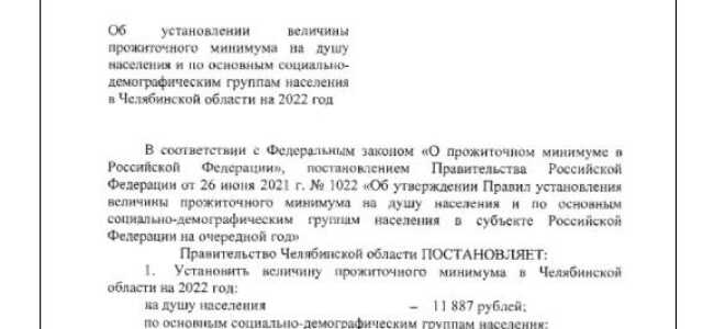 Прожиточный минимум в Челябинской области в 2022 году